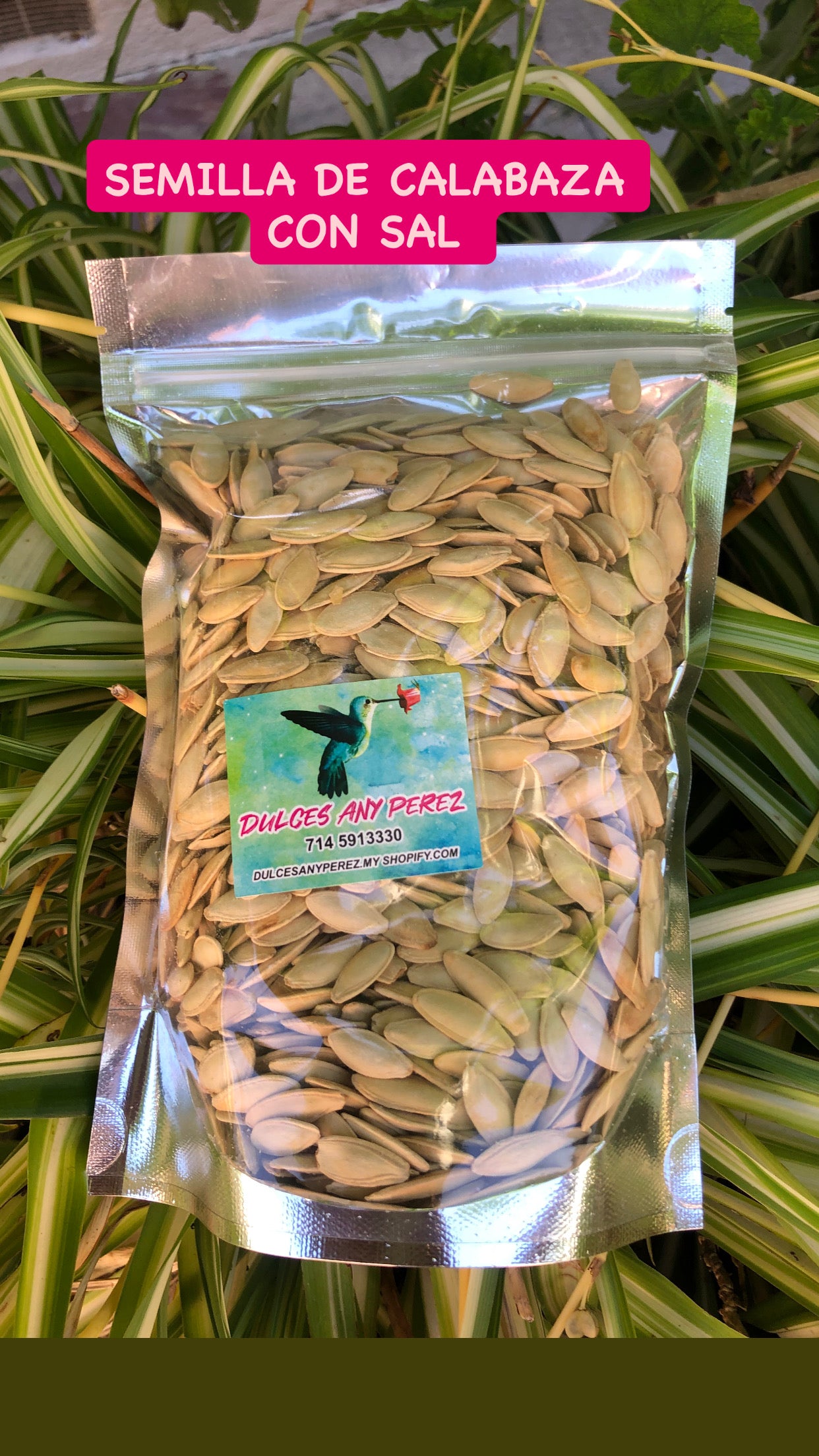SEMILLAS DE CALABAZA CON SAL